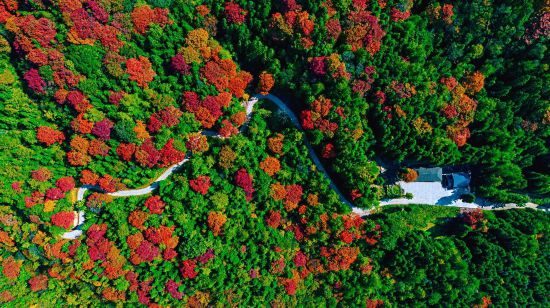 九游app：戰川超 游達州 9至10月達州推出系列特色活動邀您來玩(图9)