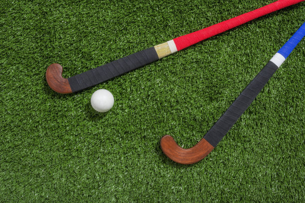 九游app:2024-2029全球與中國便攜式網系統市場現狀及未來發展趨勢(图1)