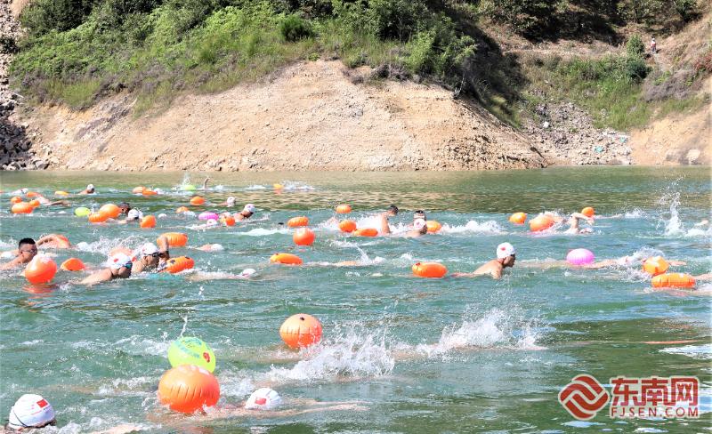 九游官网入口：闽浙350余健儿芹山湖逐浪 周宁游泳赛传递民族团结情(图3)