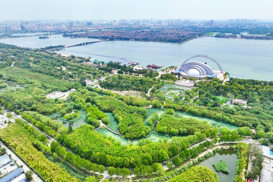 聊大龙舟 时代翘楚丨两河之约的世界舞台——从“世界冠军”到“文化符号”的跨越系列报道④(图1)