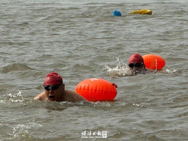 2025年安徽省公开水域游泳系列赛在怀远成功举办(图2)