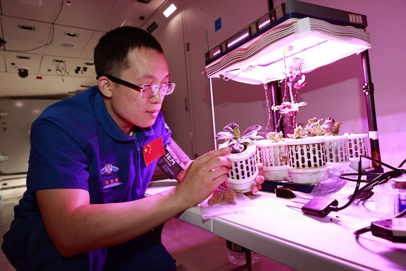 航天员张洪章：做国家需要的事做国家需要的人(图2)