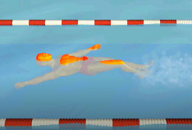 九游官网入口:游泳比赛里原来真的可以用狗刨?!(图5)