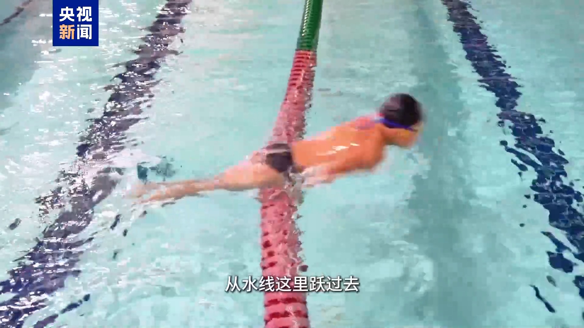 九度荣膺“全国游泳之乡” 温州泳将辈出有密码(图6)