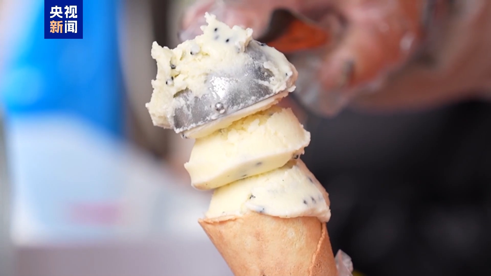 九度荣膺“全国游泳之乡” 温州泳将辈出有密码(图16)