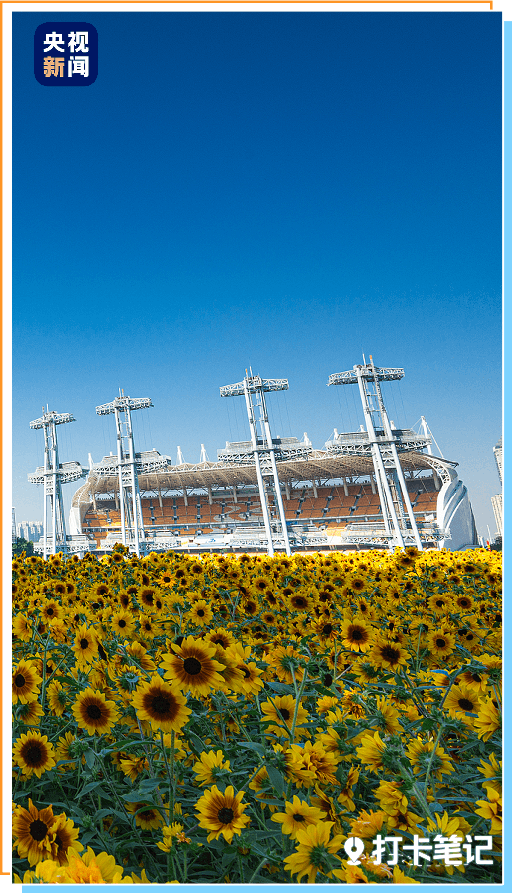 九游官网入口：去粤港澳这篇就够了！最新指南→(图1)