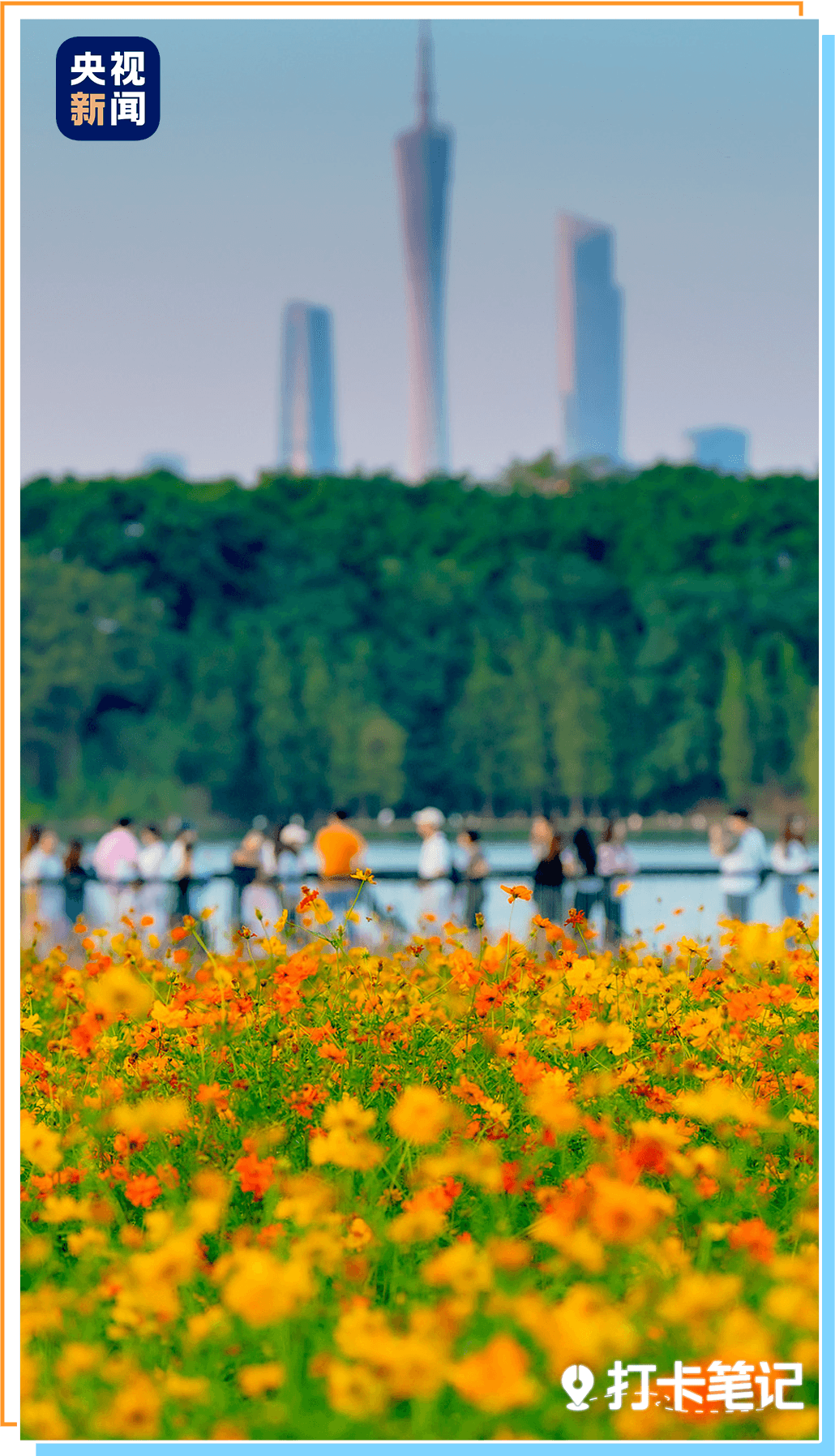 九游官网入口：去粤港澳这篇就够了！最新指南→(图2)