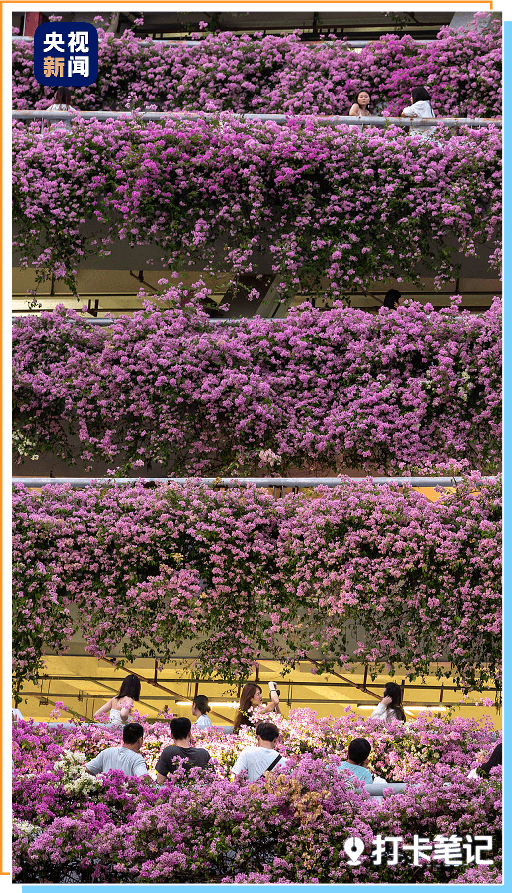 九游官网入口：去粤港澳这篇就够了！最新指南→(图6)