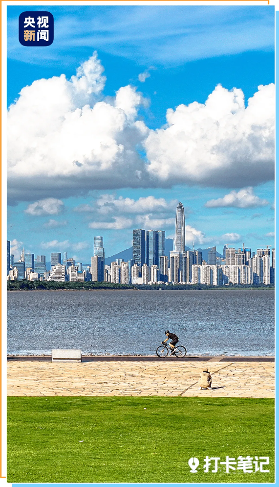 九游官网入口：去粤港澳这篇就够了！最新指南→(图7)