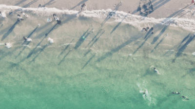 九游官网入口：去粤港澳这篇就够了！最新指南→(图9)