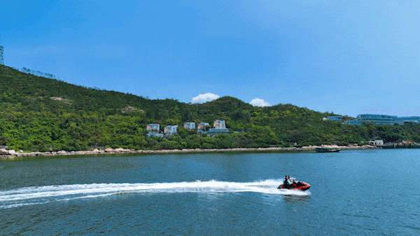 九游官网入口：去粤港澳这篇就够了！最新指南→(图14)