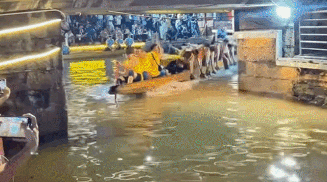 九游官网入口：去粤港澳这篇就够了！最新指南→(图24)