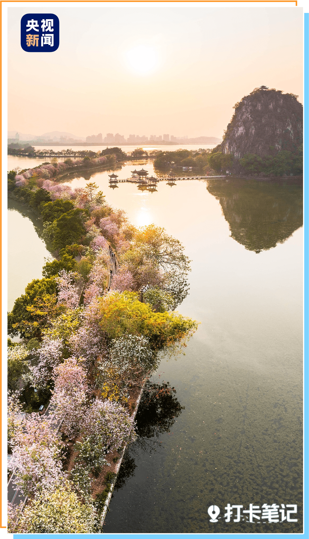 九游官网入口：去粤港澳这篇就够了！最新指南→(图32)