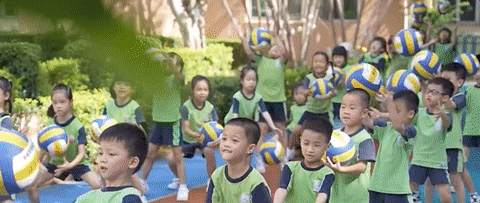 九游官网入口：去粤港澳这篇就够了！最新指南→(图33)