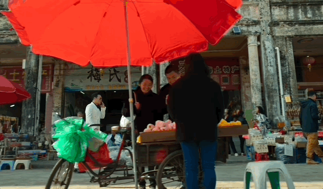 九游官网入口：去粤港澳这篇就够了！最新指南→(图34)