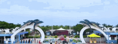 九游官网入口：去粤港澳这篇就够了！最新指南→(图44)