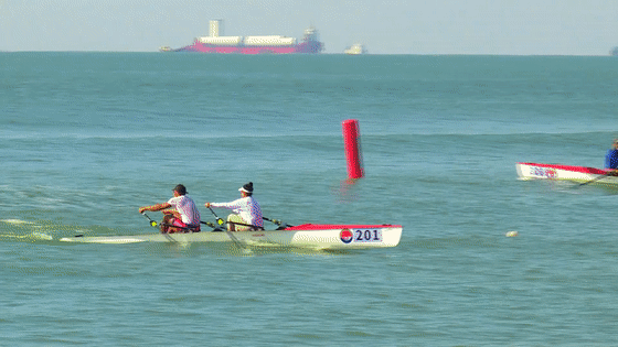 九游官网入口：去粤港澳这篇就够了！最新指南→(图45)