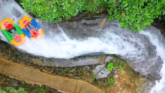 九游官网入口：去粤港澳这篇就够了！最新指南→(图47)