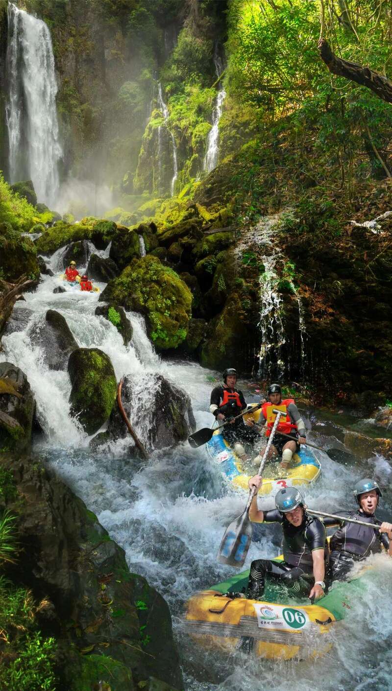 九游官网入口：去粤港澳这篇就够了！最新指南→(图48)