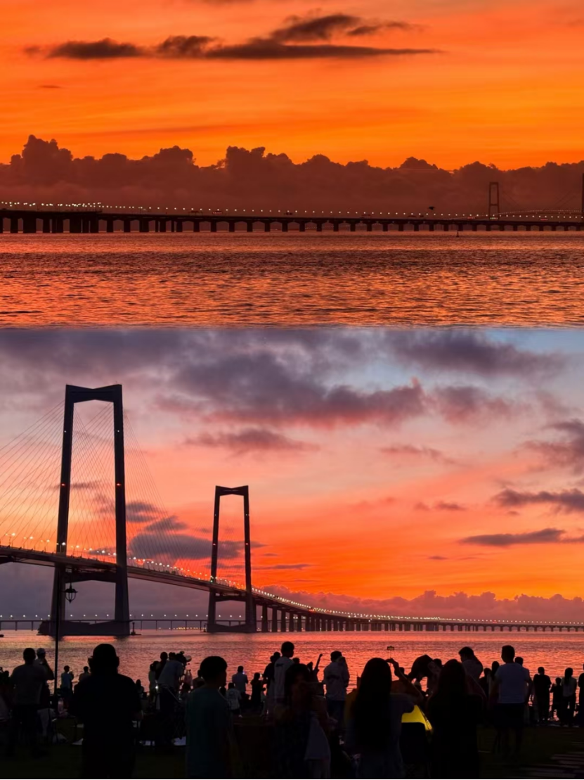 九游官网入口：去粤港澳这篇就够了！最新指南→(图52)