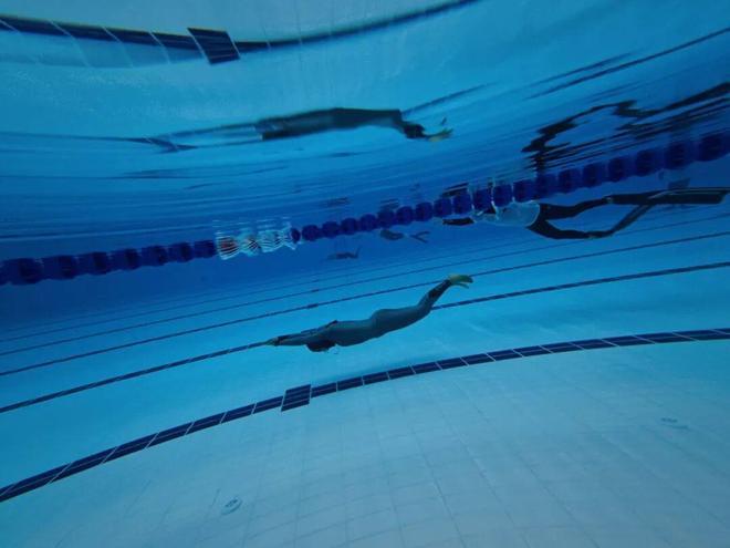 国内最高水平!这场比赛在青浦举行(图3)