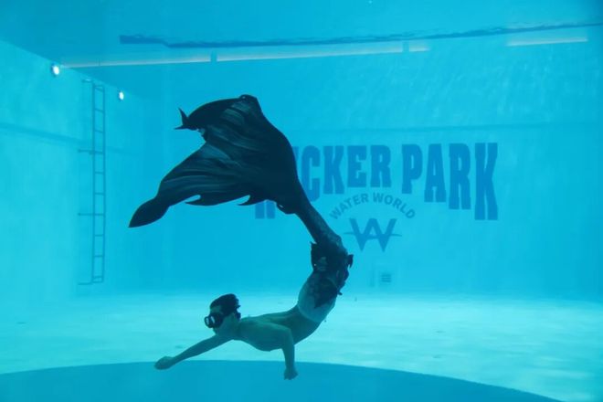 国内最高水平!这场比赛在青浦举行(图1)