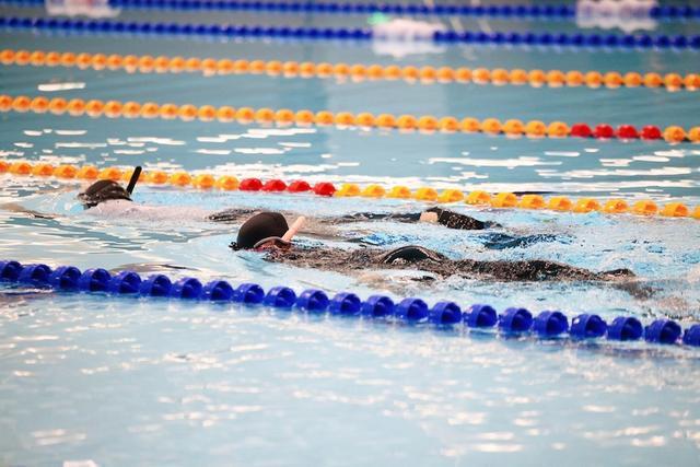 九游体育：代表国内最高水平中国潜水黄金联赛首次登陆洛克公园(图4)