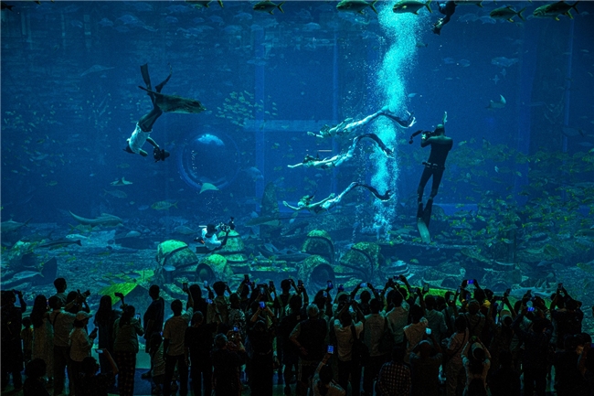 九游体育：湛江国际潜水大赛开幕(图1)