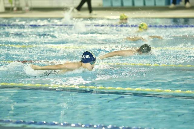 “中国体育彩票杯”2025年北京市体育传统项目学校游泳比赛举行(图4)