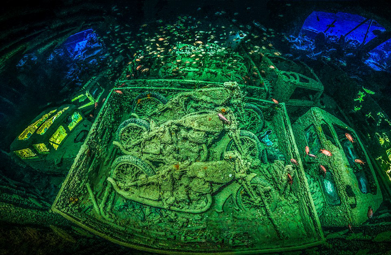 九游app：美呆！2018水下摄影大赛作品展震撼海底画卷(图1)