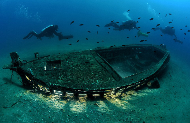 九游app：美呆！2018水下摄影大赛作品展震撼海底画卷(图5)