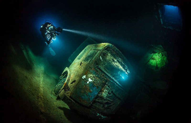 九游app：美呆！2018水下摄影大赛作品展震撼海底画卷(图7)