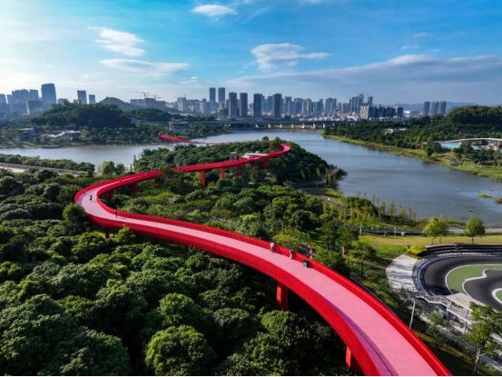 “科学+体育”碰撞出创新火花光明科学城赛艇挑战赛太燃了(图6)