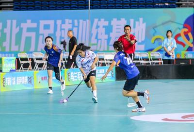 河南这所村小里“飞”出旱地冰球全国冠军女队(图1)