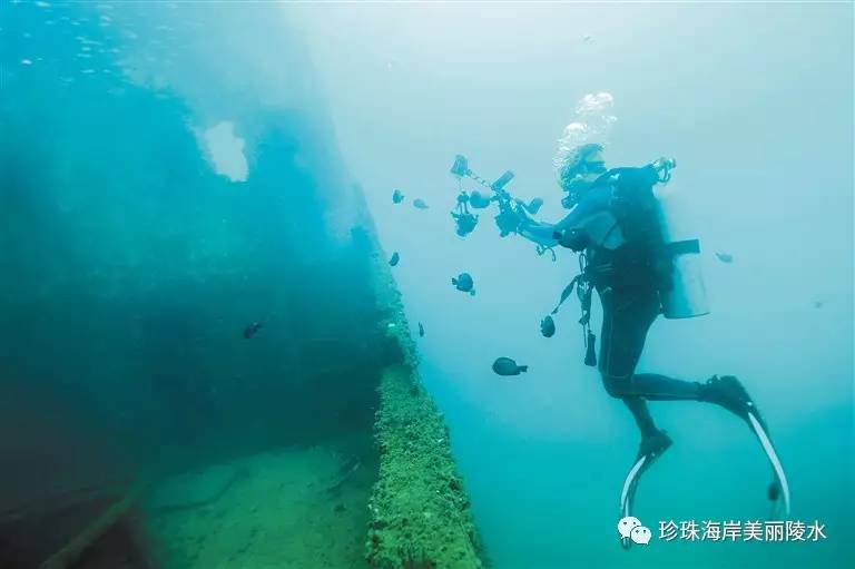 九游app：国际潜水节丨陵水吹响发展潜水游号角(图5)