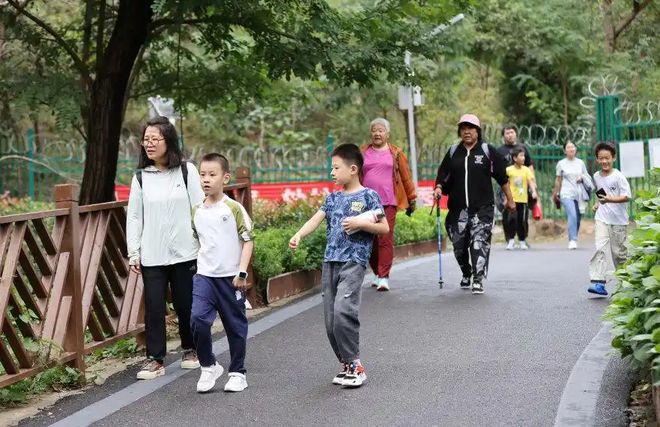 九游app：人文青岛之青岛与海半是山海馈赠半是全民热情——体育设施的变迁以及体育之城的密码(图5)