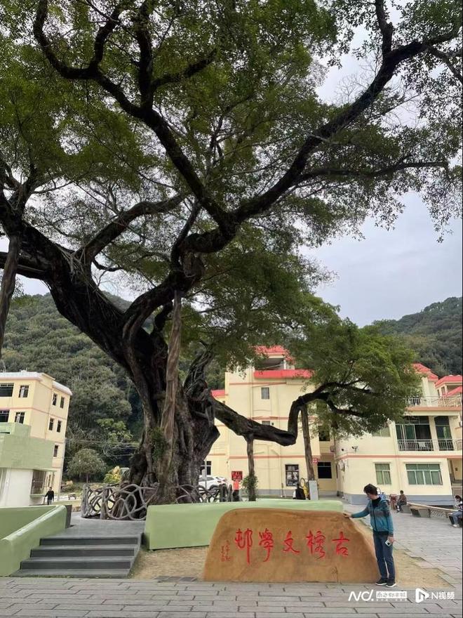 广东27条措施促农文旅融合!服务湾区世界级旅游目的地建设(图2)