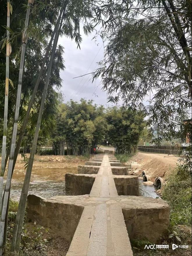 广东27条措施促农文旅融合!服务湾区世界级旅游目的地建设(图3)