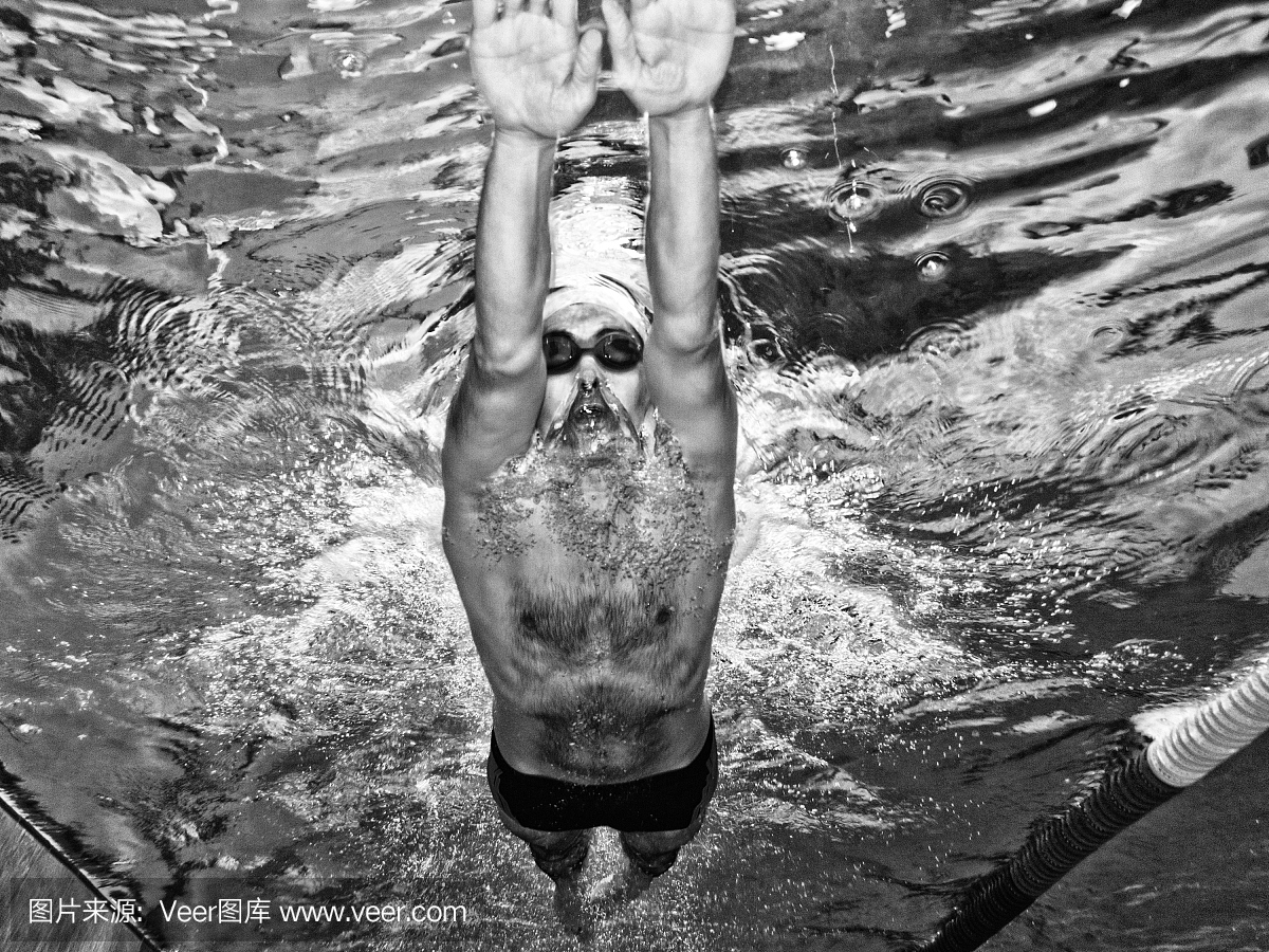 石家庄跨年游泳盛典:在水中迎接2026!(图1)