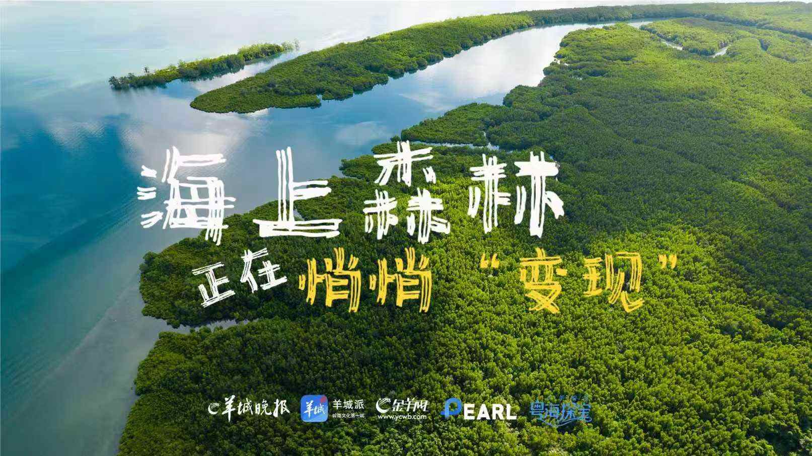 粤海探宝｜一部广东的“海之图志”(图8)