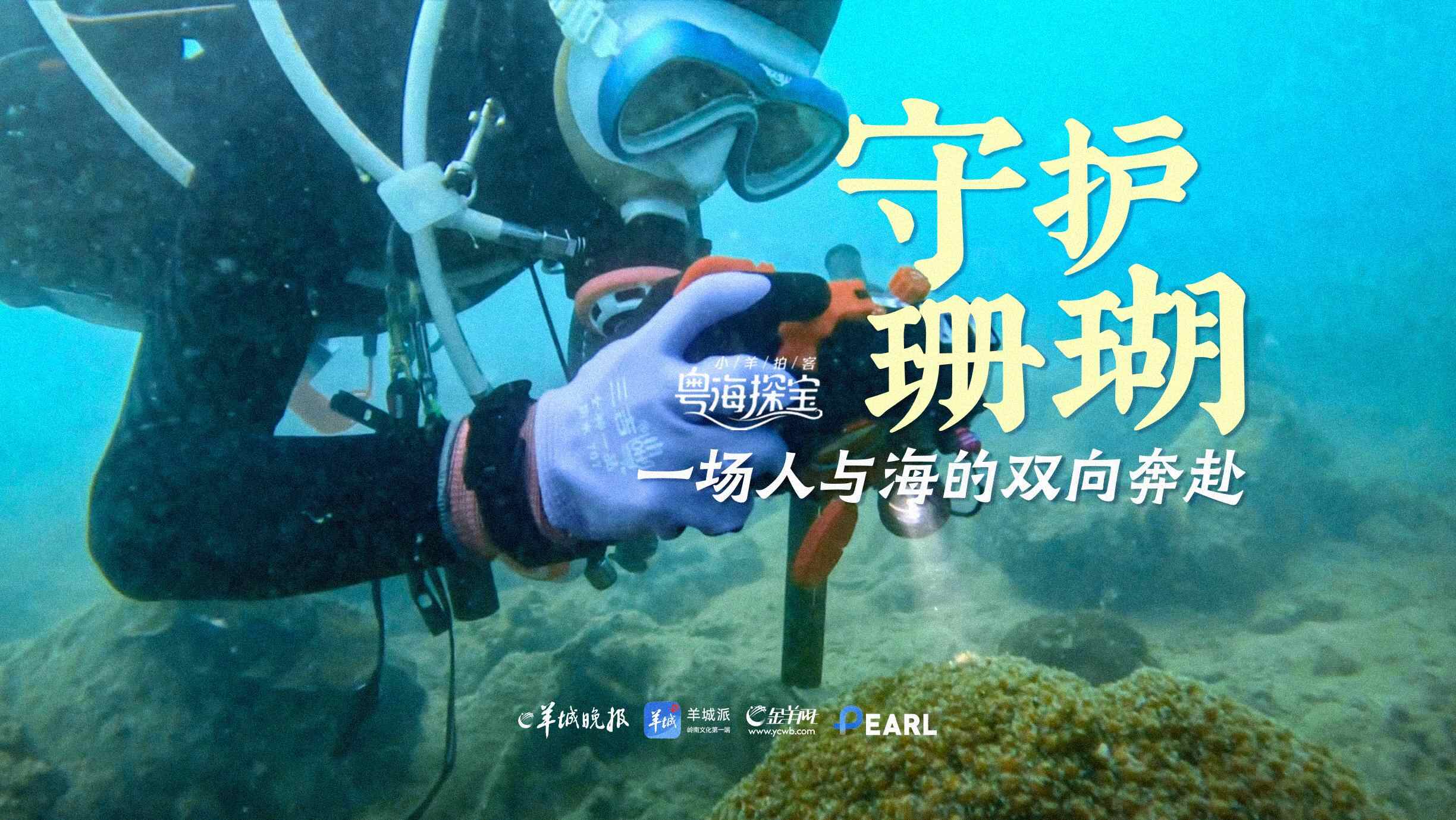 粤海探宝｜一部广东的“海之图志”(图15)