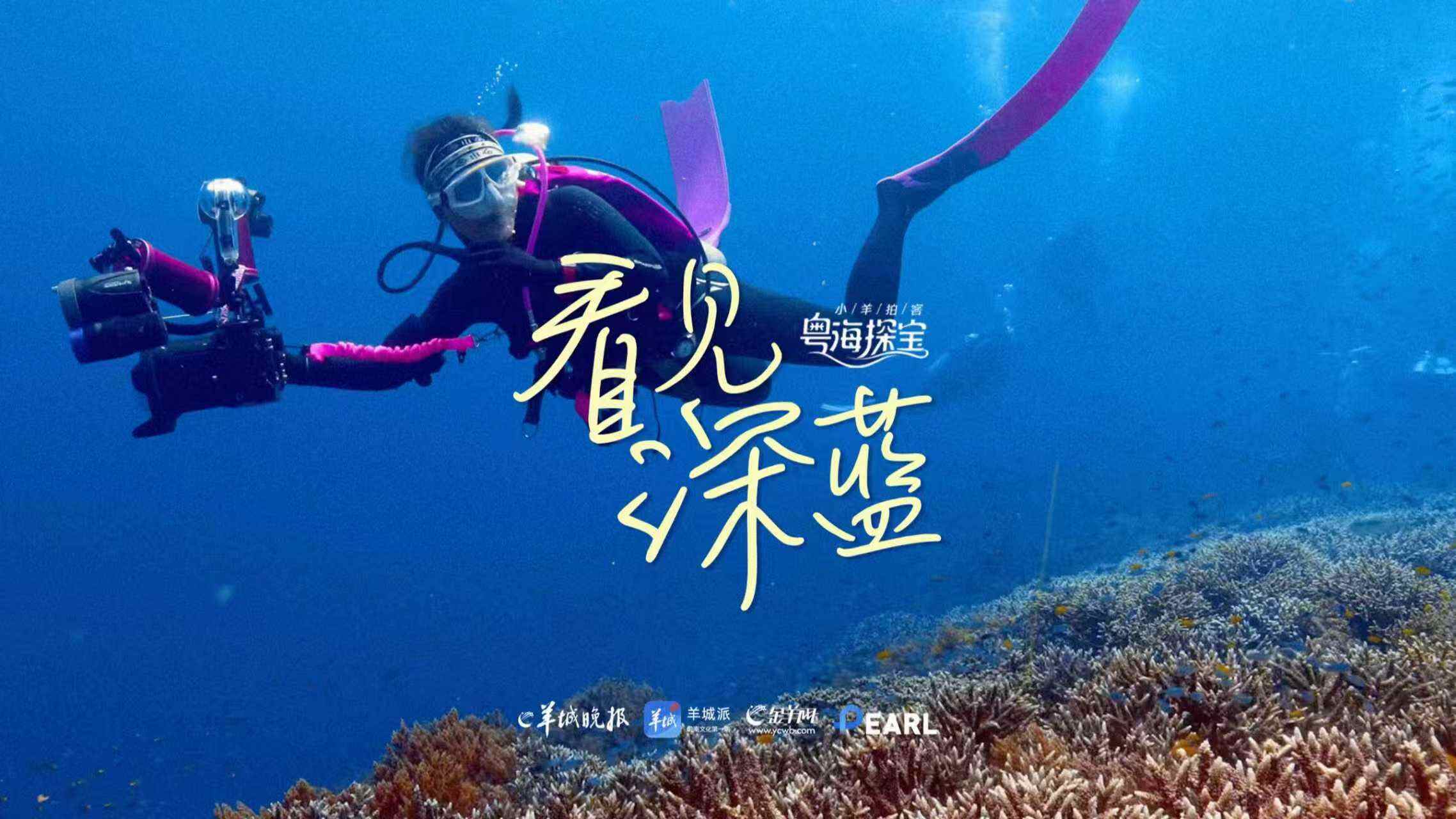 粤海探宝｜一部广东的“海之图志”(图13)