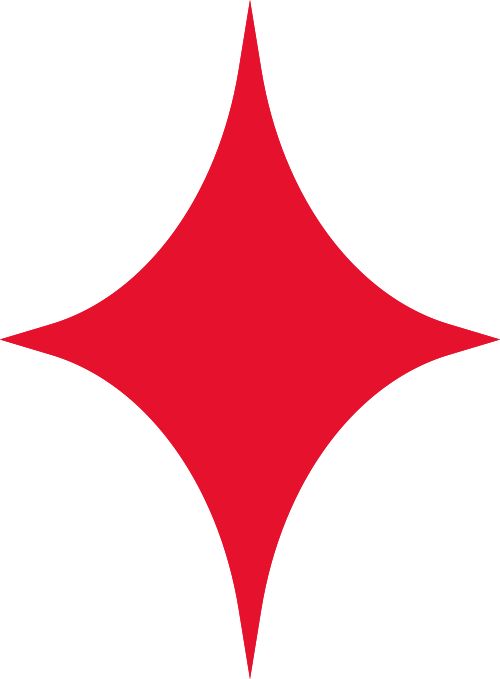 九游app:擎旗领航风正劲 奋楫扬帆启新程(图2)