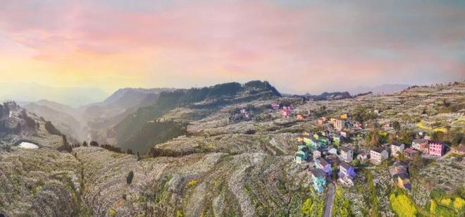 九游app:擎旗领航风正劲 奋楫扬帆启新程(图9)