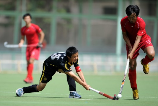 长曲棍球和曲棍球的区别(图1)