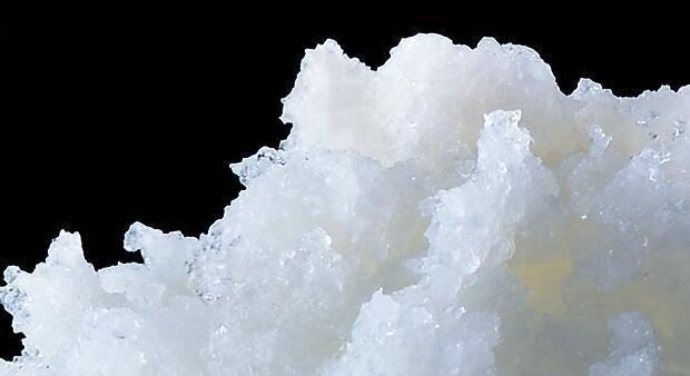 九游体育：剩米饭钓鱼老是钓不到、钓不好这几个细节没做到当然效果不行(图4)