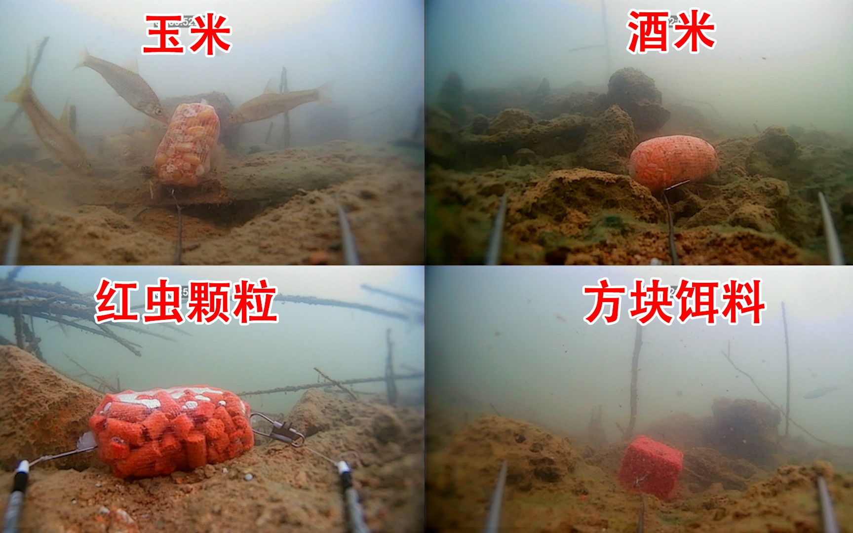 “十五五”开局年 河南体育这样干(图1)