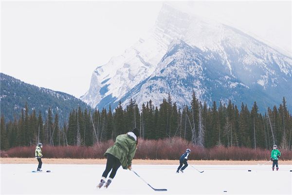 梦到曲棍球-梦到曲棍球是什么意思-周公解梦-族谱网(图1)