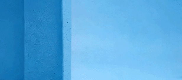 979%超高支持率！这个社区调整物业费获居民力挺｜《徐汇报》周周见(图6)