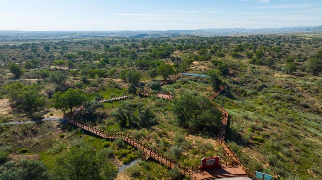 九游官网入口:习近平总书记关切事·嘱托|生态守护者的绿色画卷(图2)